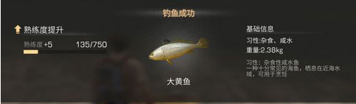 《明日之后》大黃魚怎么獲得 大黃魚位置