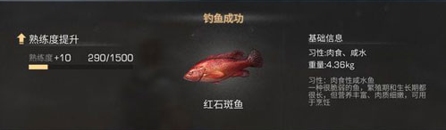 《明日之后》石斑魚怎么獲得 石斑魚位置