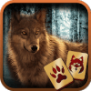 *Hidden Mahjong: Wolves