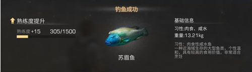 《明日之后》蘇眉魚怎么獲得 蘇眉魚位置