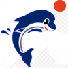 Dolphin With Ball怎么安装