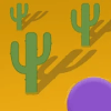 Cactus Run