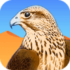 Royal Falcon الصقر الملكي
‎如何升级版本