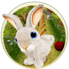 Forest Bunny Run :Bunny Game玩不了怎么办