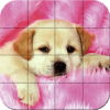 Puzzle - Puppies