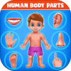 Human Body Parts - Preschool Kids Learning快速下载