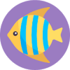 Which sea creature are you? Test最新版下载