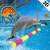 Water Park Dolphin Show Water World Dolphin Games