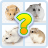 Guess Little Hamster手机版下载