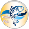 Prime Fish