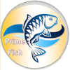 Prime Fish游戏在线玩