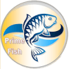 Prime Fish如何升级版本