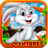 Jungle Bunny Run Adventure无法安装怎么办