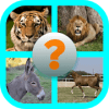 Guess The Picture - Animals怎么下载到电脑