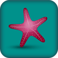 Starfish Realityiphone版下载