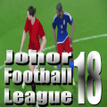 Liga Bolasepak Johor绿色版下载