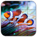 Tile Puzzles · Corals官方下载