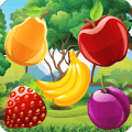 Fruit Slash - Slicing Ninja无法打开