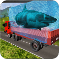 Transport Truck Shark AquariumIOS刷分攻略教程