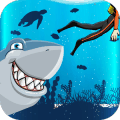 Dangerous Shark: The Ocean Attack手机版下载