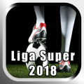 Liga Super Malaysia 2018免费下载