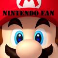 Nintendo fan如何升级版本