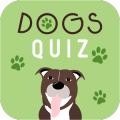 Dogs Quiz - Guess The Dog Breed无法打开