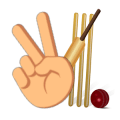 Hand Cricket Saga安全下载