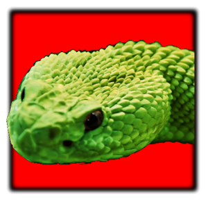 Snake Puzzle HD