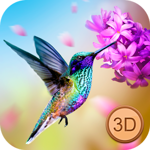 Humming Bird Simulator - Tiny Bird Adventure