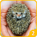 Animal Morph: Hybrid Animals Factory Simulator 2官方版免费下载