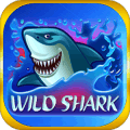 游戏下载Wild Shark Slot