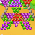 Fruit Shooter Extreme玩不了怎么办