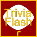 Trivia - The Flash无法打开