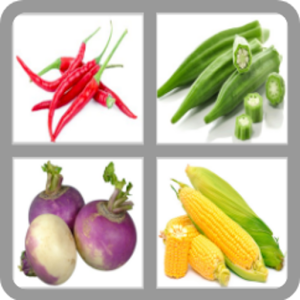 Veggies Quiz - Guess Veggies