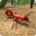 Ant Smasher Kids Games最新版下载