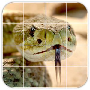 Tile Puzzles · Snakes