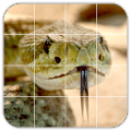 Tile Puzzles · Snakesiphone版下载