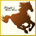 Knight's Word Ride破解版下载