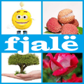 4 pics 1 fjalë下载地址