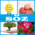 4 şəkil 1 söz绿色版下载