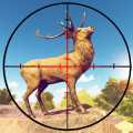 Wild Animal Hunting 3D版本更新