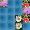 游戏下载MemGame 04 - Flowers