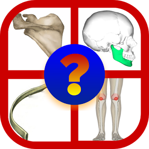 BONES Anatomy Quiz Trivia