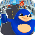 Subway Sonic Ugandan knuckles Temple run Games 3D免费下载