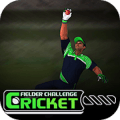 游戏下载Cricket Fielder Challenge