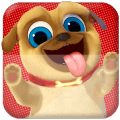 The Puppy Run Dog Pals - Fetpack Free Games安卓版下载