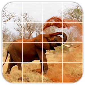 Tile Puzzles · Africa