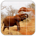 Tile Puzzles · Africa版本更新