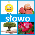 4 fotki 1 słowo如何升级版本